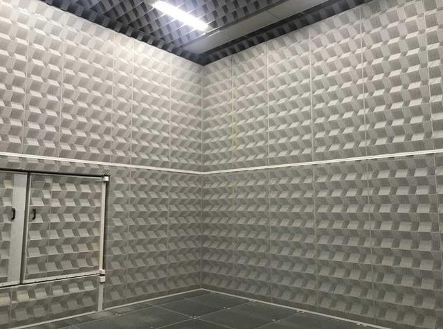 消声室造价揭秘 几百万还是千万？价格由这五大因素决定